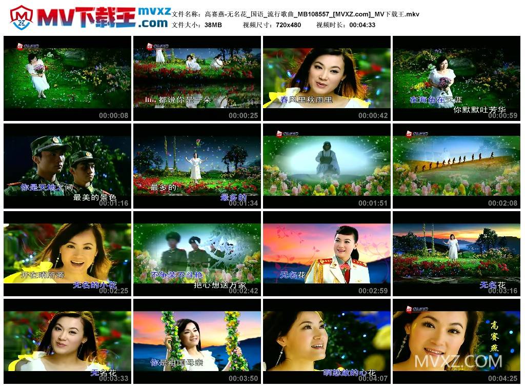 高赛燕-无名花_国语_流行歌曲_MB108557